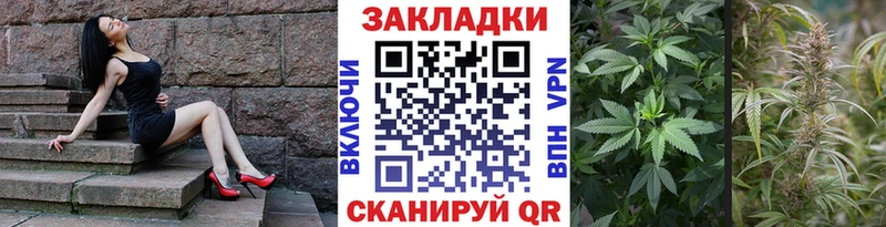Галлюциногенные грибы Нальчик