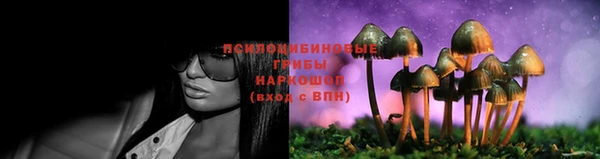 Альфа ПВП Лиски