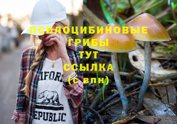 дурь Ладушкин