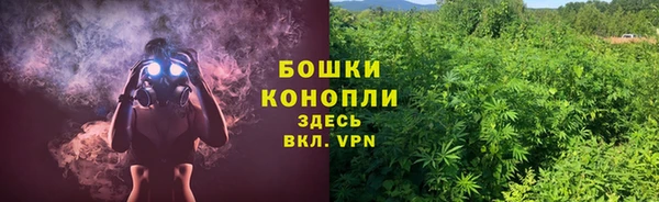 Альфа ПВП Лиски