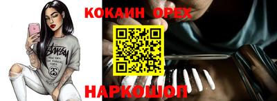 гидра Будённовск