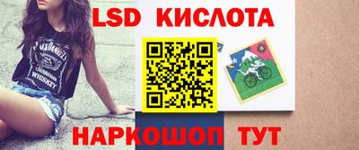 гидра Будённовск