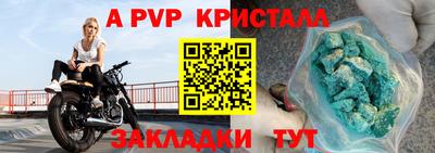 гидра Будённовск