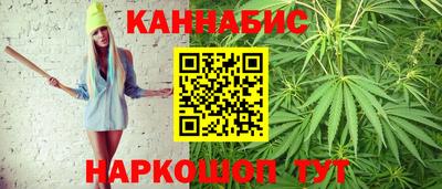 гидра Будённовск
