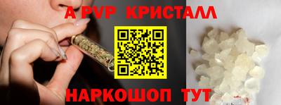 гидра Будённовск