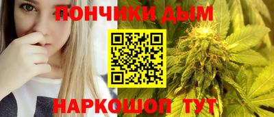 гидра Будённовск
