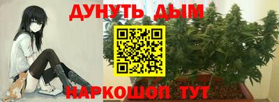 скорость Аргун