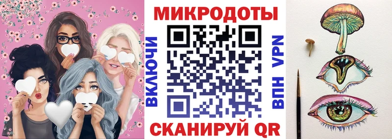 Псилоцибиновые грибы Psilocybine cubensis  Нальчик 