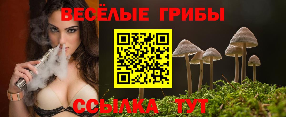 Галлюциногенные грибы GOLDEN TEACHER Нальчик