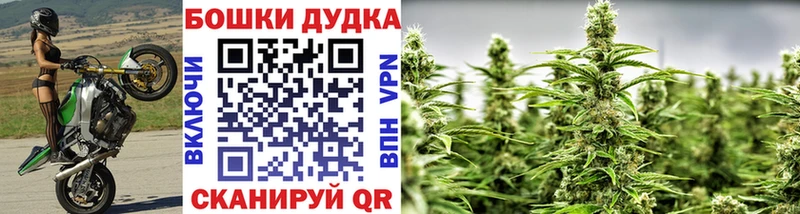 дарнет шоп  Нальчик  kraken рабочий сайт  Марихуана конопля 