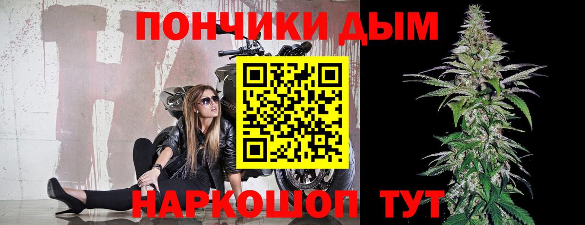 Бошки Шишки марихуана Нальчик
